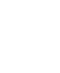 Liquid Thrillz Boat Rentals 